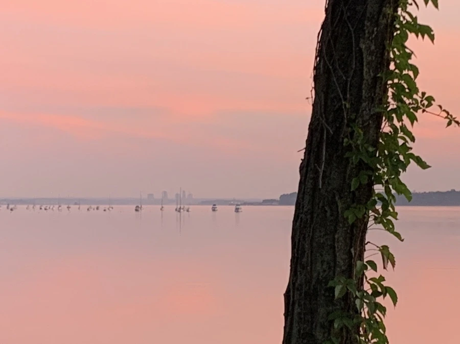 IMG_4350.jpg?type=w966