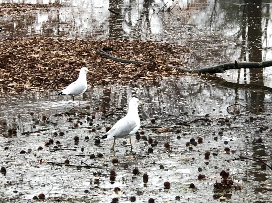 IMG_5687.jpg?type=w966