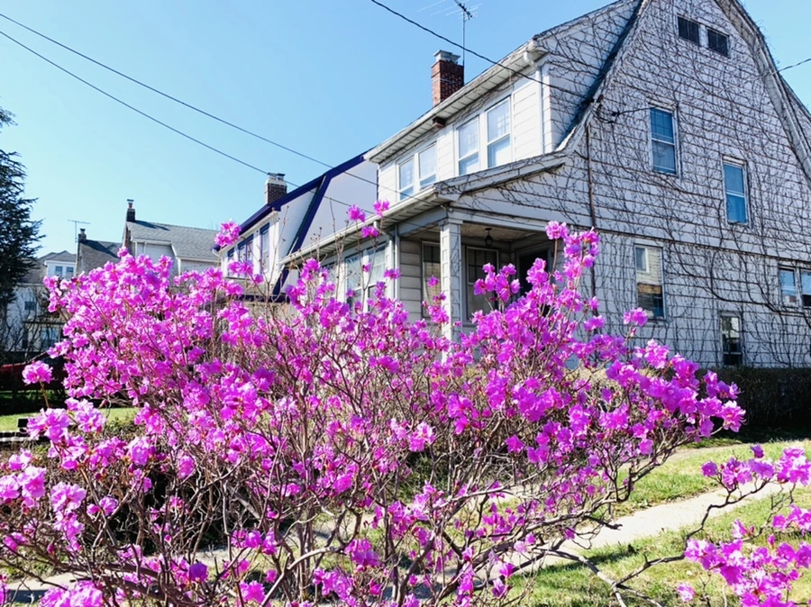 IMG_5503.jpg?type=w966