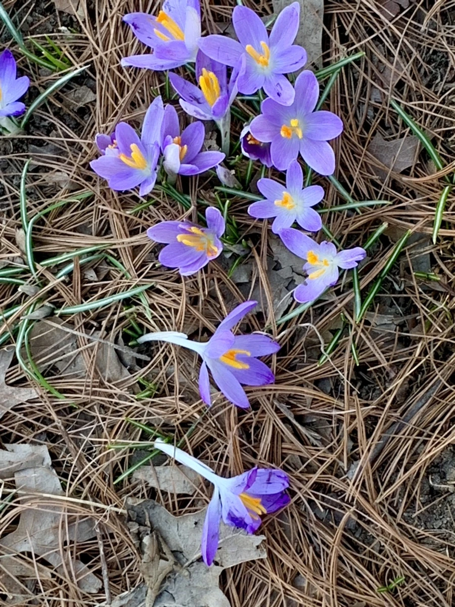 IMG_9738.jpg?type=w966