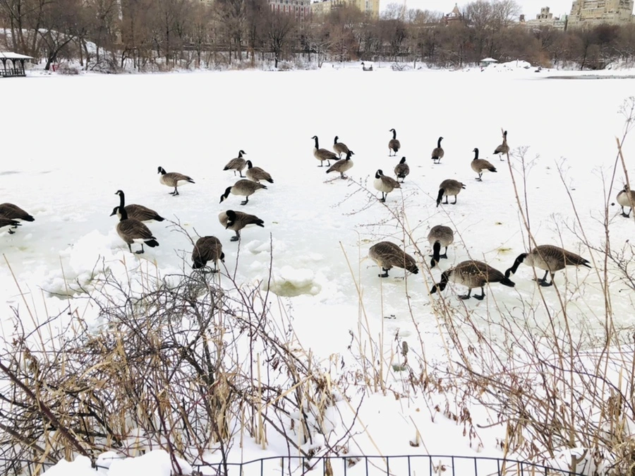 IMG_9486.jpg?type=w966