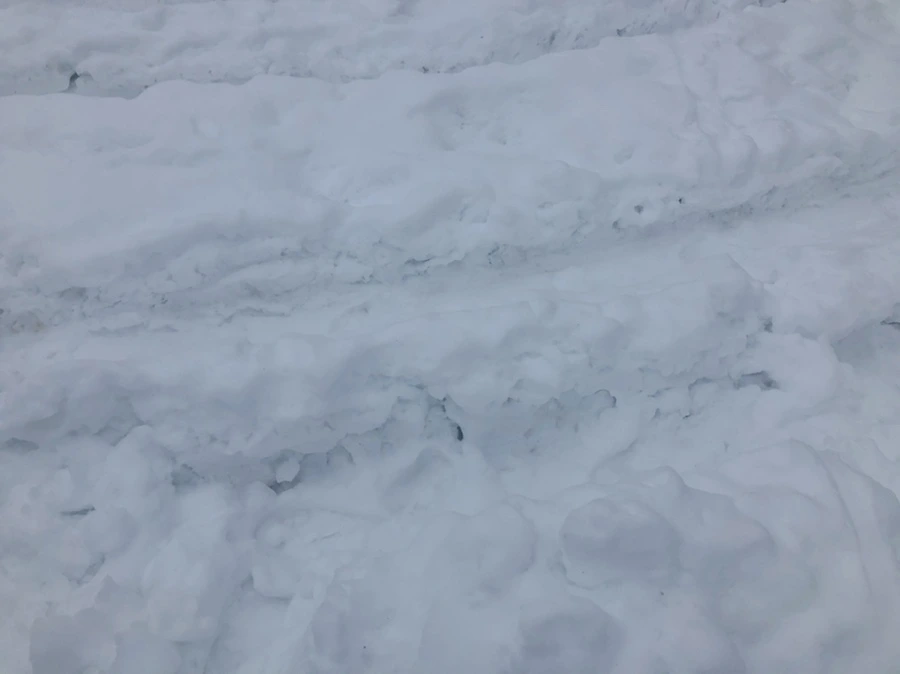 IMG_1548.jpg?type=w966