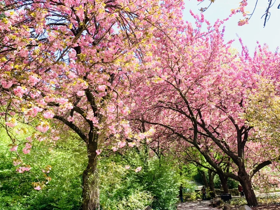 IMG_6408.jpg?type=w966