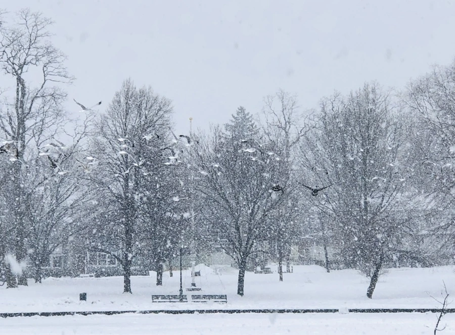 IMG_4222.jpg?type=w966