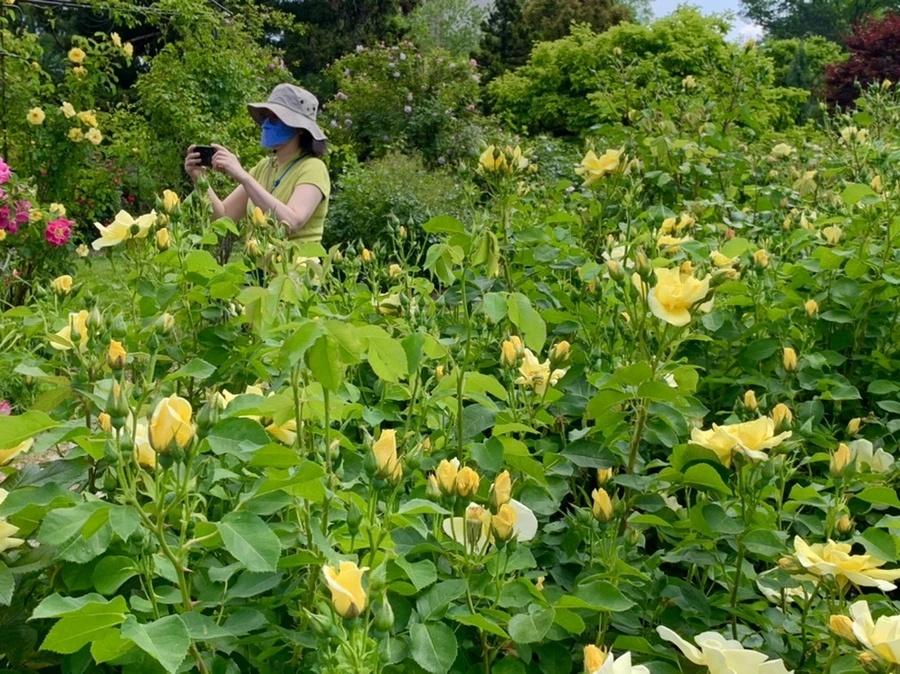 IMG_5815.jpg?type=w966