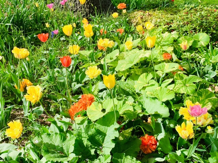 IMG_7044.jpg?type=w966