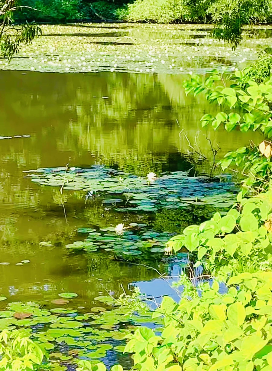 IMG_2102.jpg?type=w966