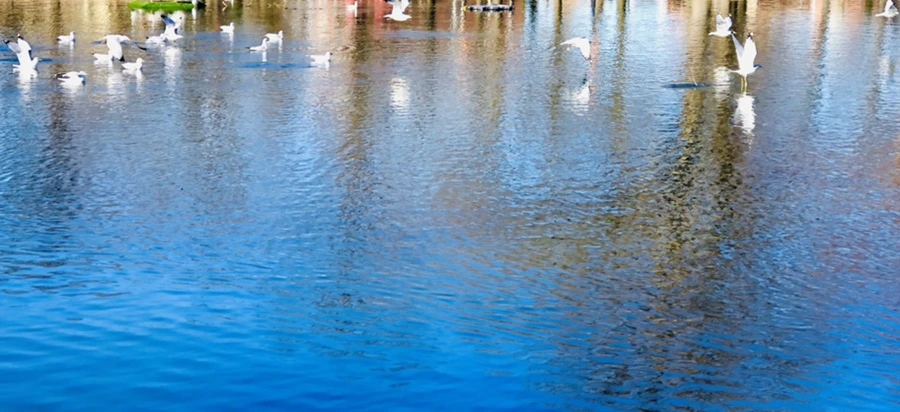 IMG_9765.jpg?type=w966