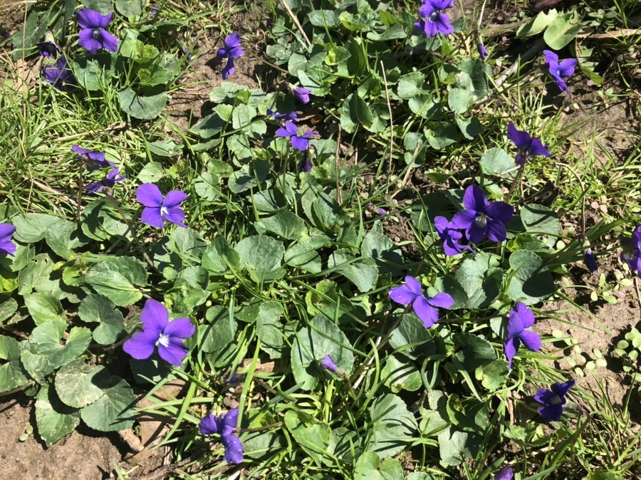 IMG_3512.jpg?type=w966