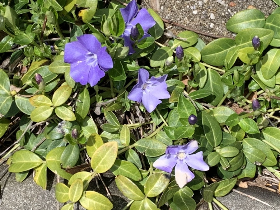 IMG_4026.jpg?type=w966