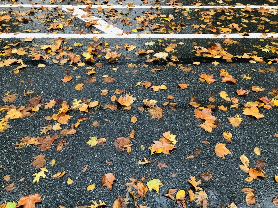 IMG_3143.jpg?type=w966