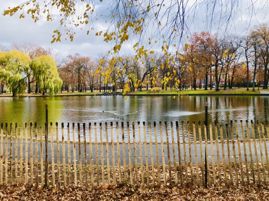 IMG_5439.jpg?type=w966