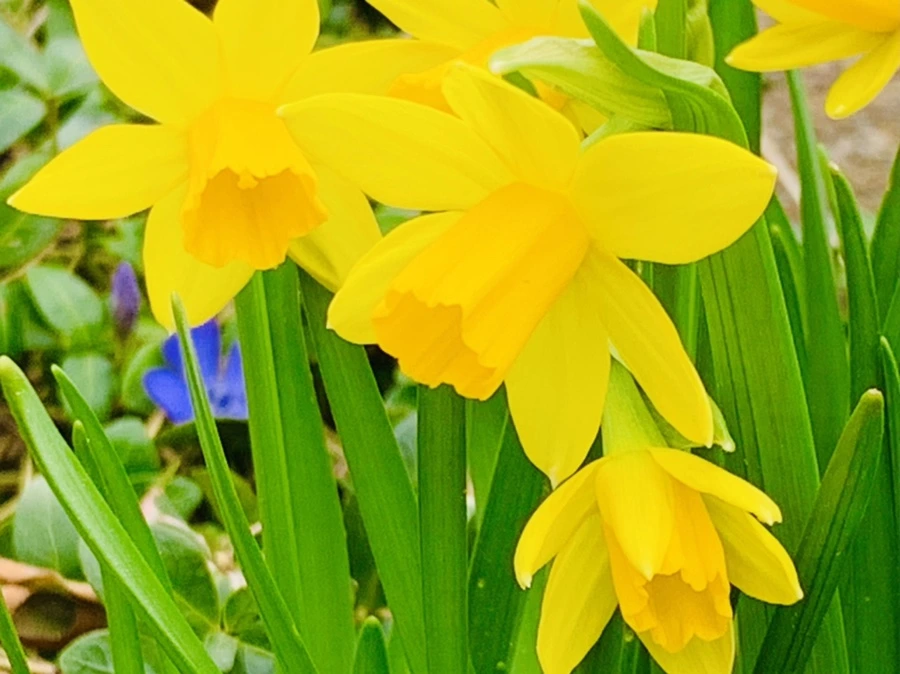 IMG_3485.jpg?type=w966