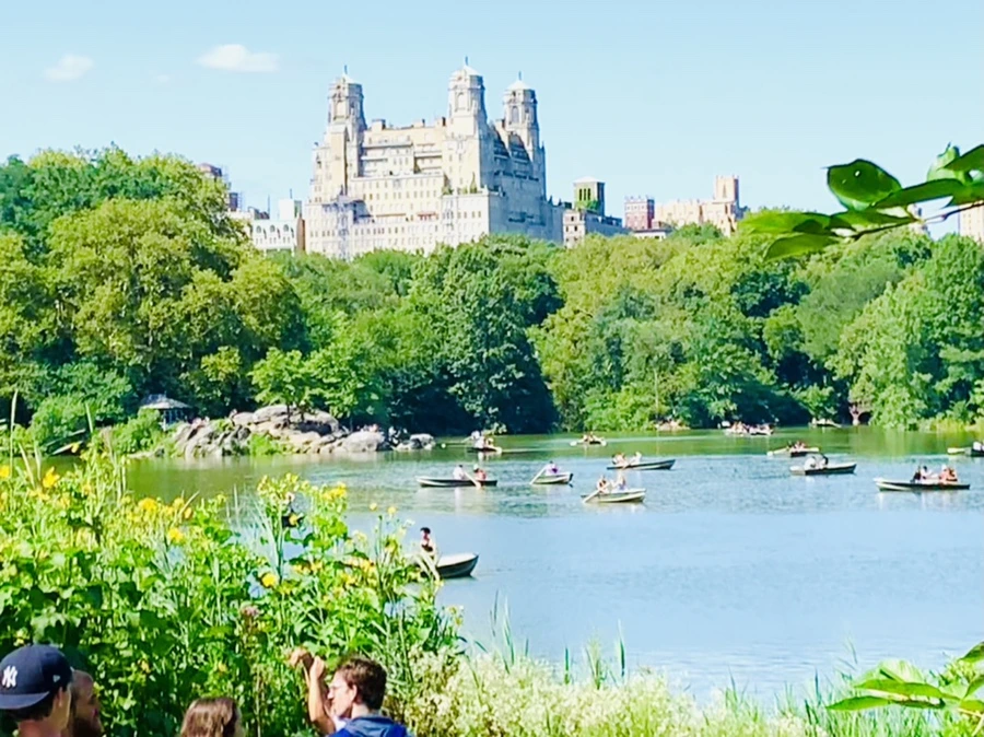 IMG_4445.jpg?type=w966