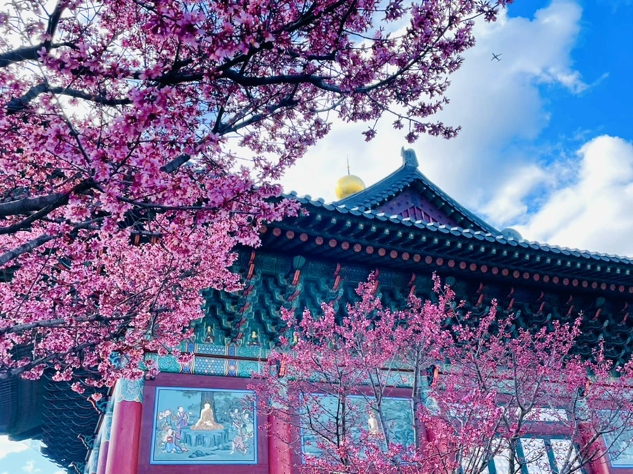 IMG_6195.jpg?type=w966