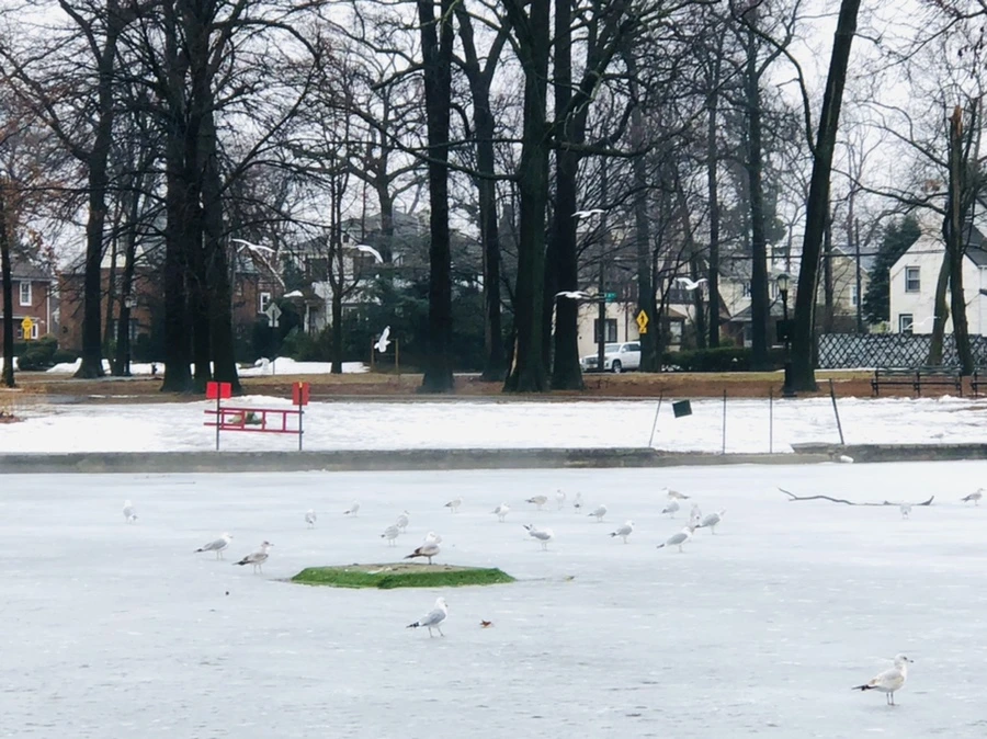 IMG_5743.jpg?type=w966