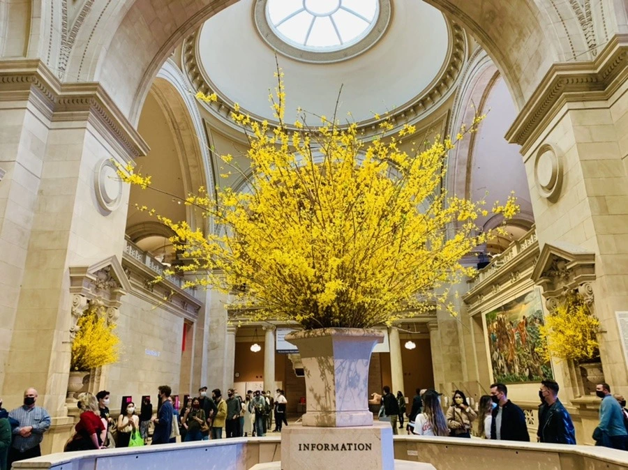 u0yROkJfEheSo29FKzU3k6Zn088