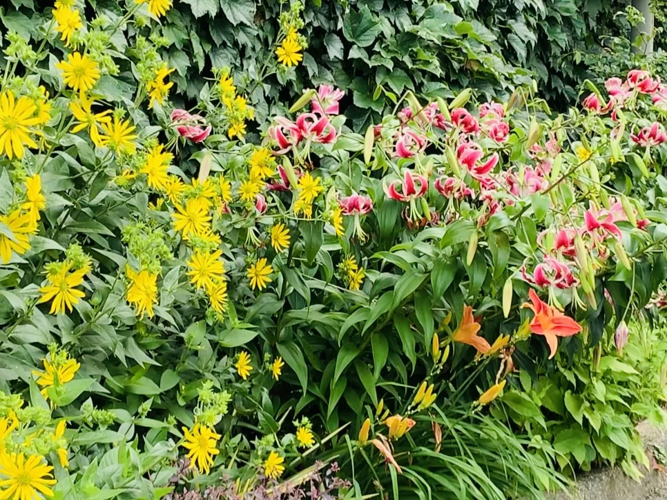 IMG_9355.jpg?type=w966