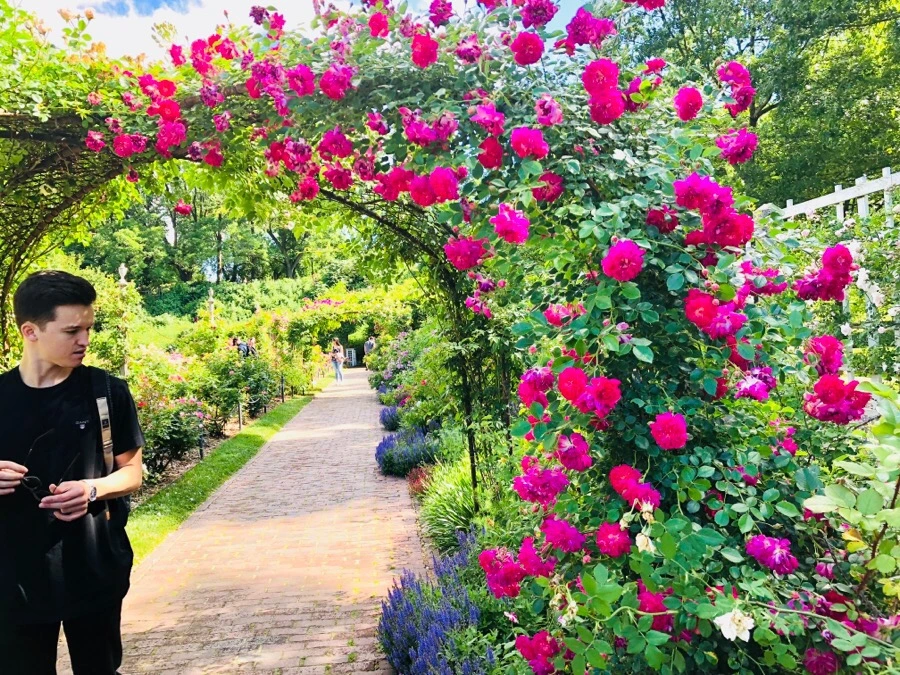 IMG_7781.jpg?type=w966