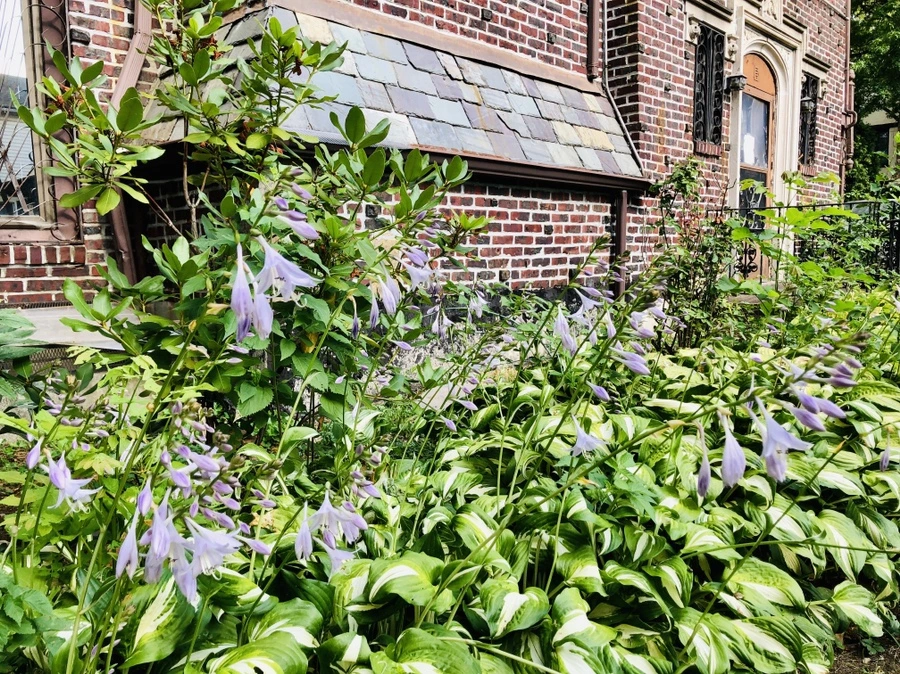 IMG_2015.jpg?type=w966