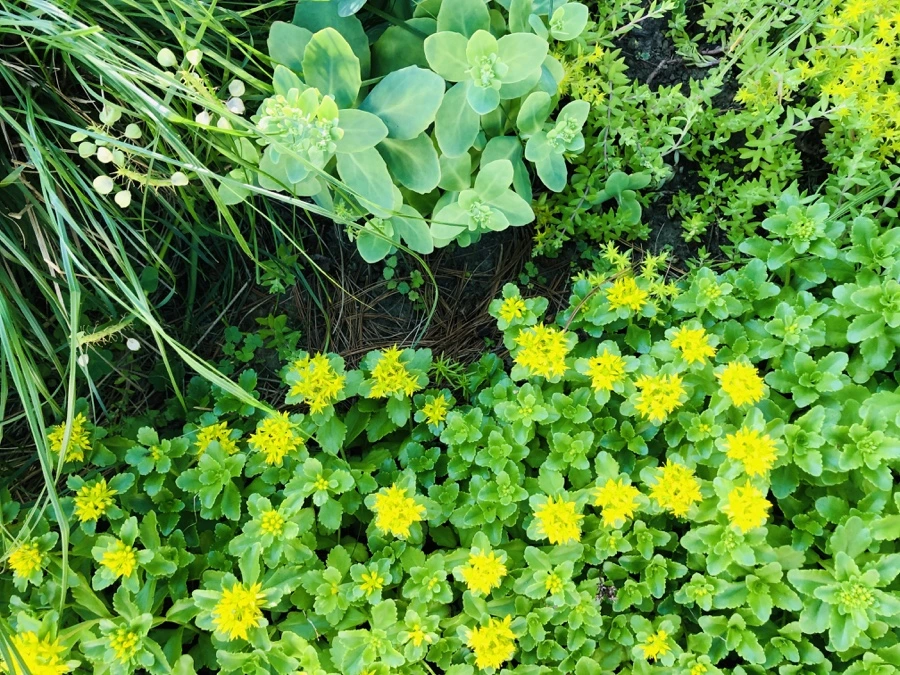 IMG_8628.jpg?type=w966