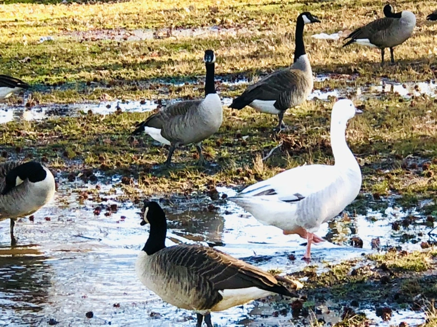 IMG_9301.jpg?type=w966