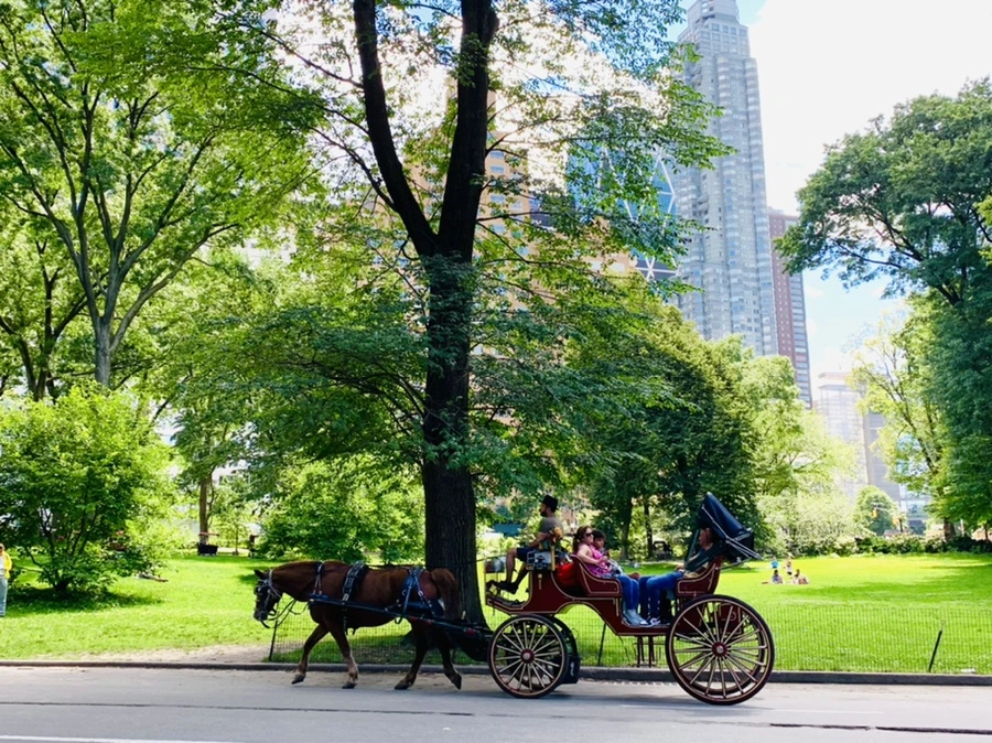 IMG_6340.jpg?type=w966