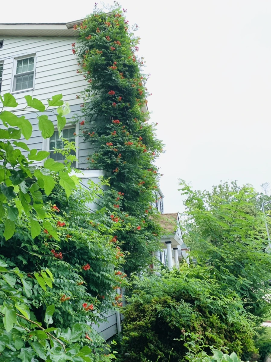 IMG_6940.jpg?type=w966