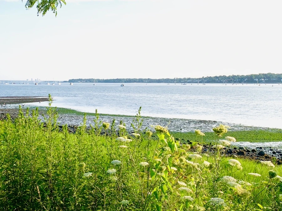 IMG_9830.jpg?type=w966