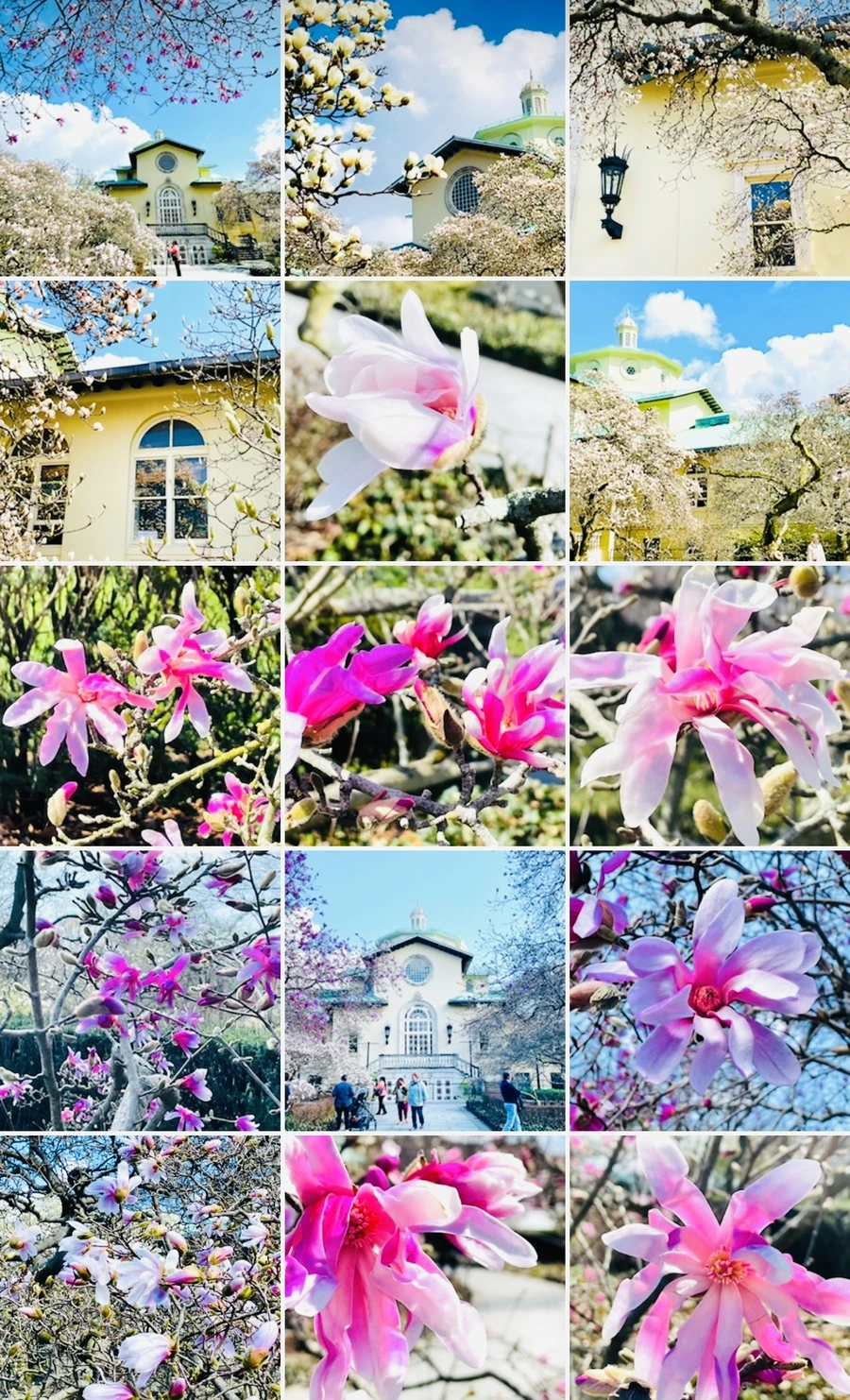 IMG_7291.jpg?type=w966