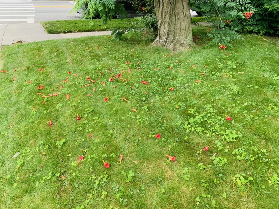 IMG_7433.jpg?type=w966