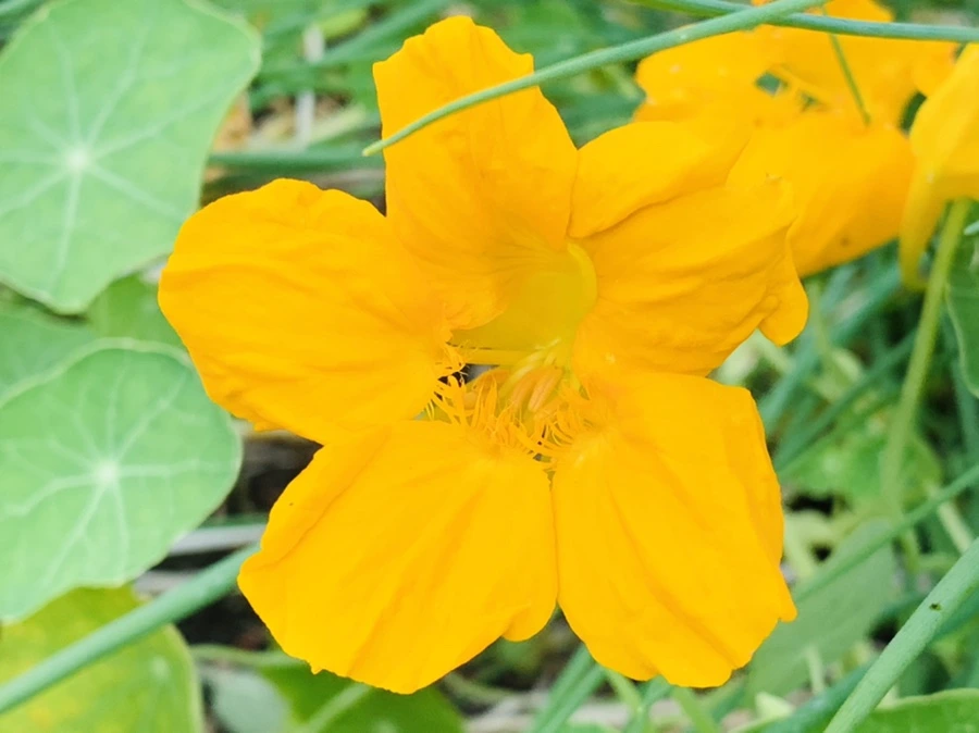 IMG_2654.jpg?type=w966