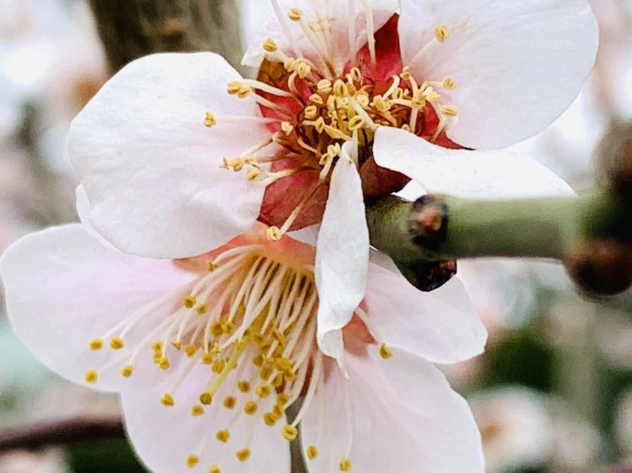 IMG_3668.jpg?type=w966