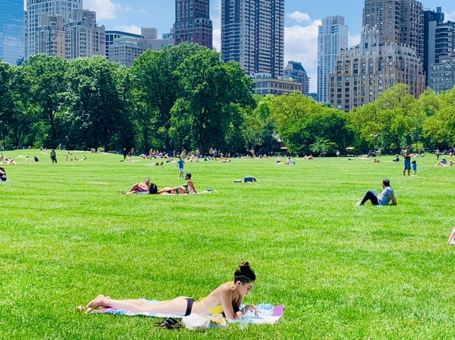 IMG_5376.jpg?type=w966