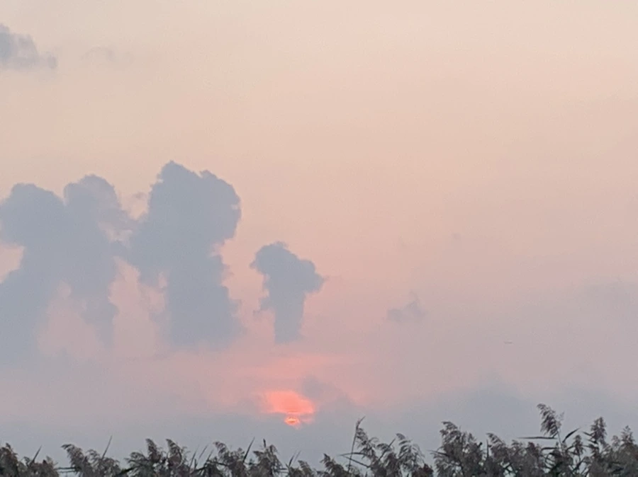 IMG_1058.jpg?type=w966