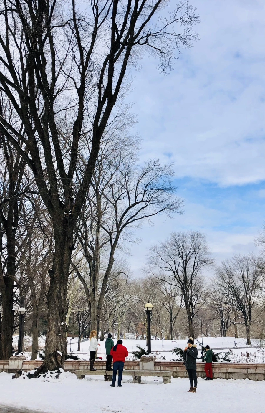 IMG_0401.jpg?type=w966