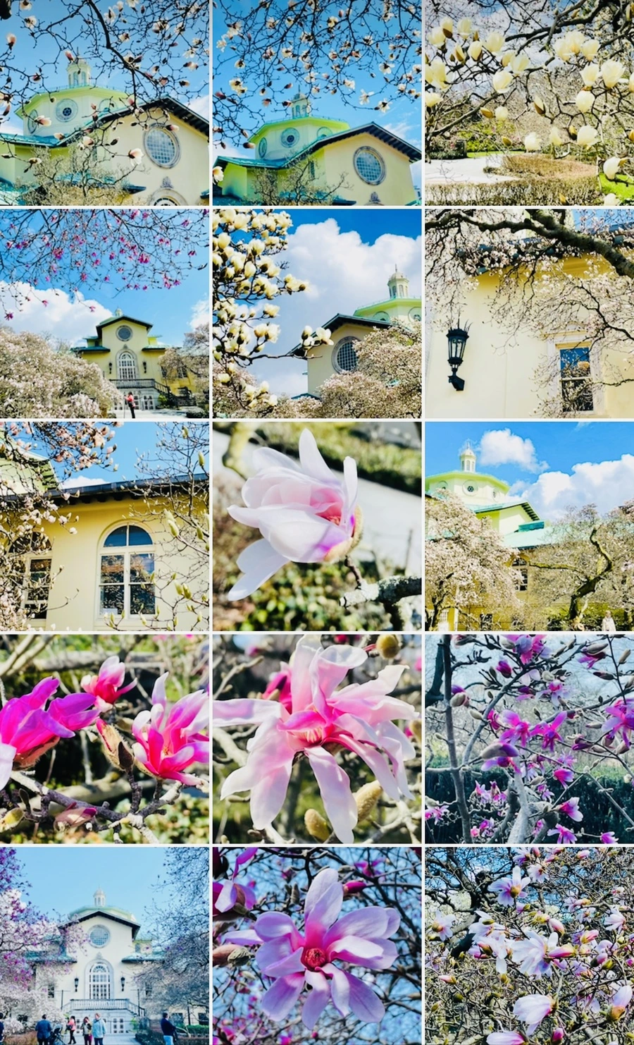 IMG_7304.jpg?type=w966