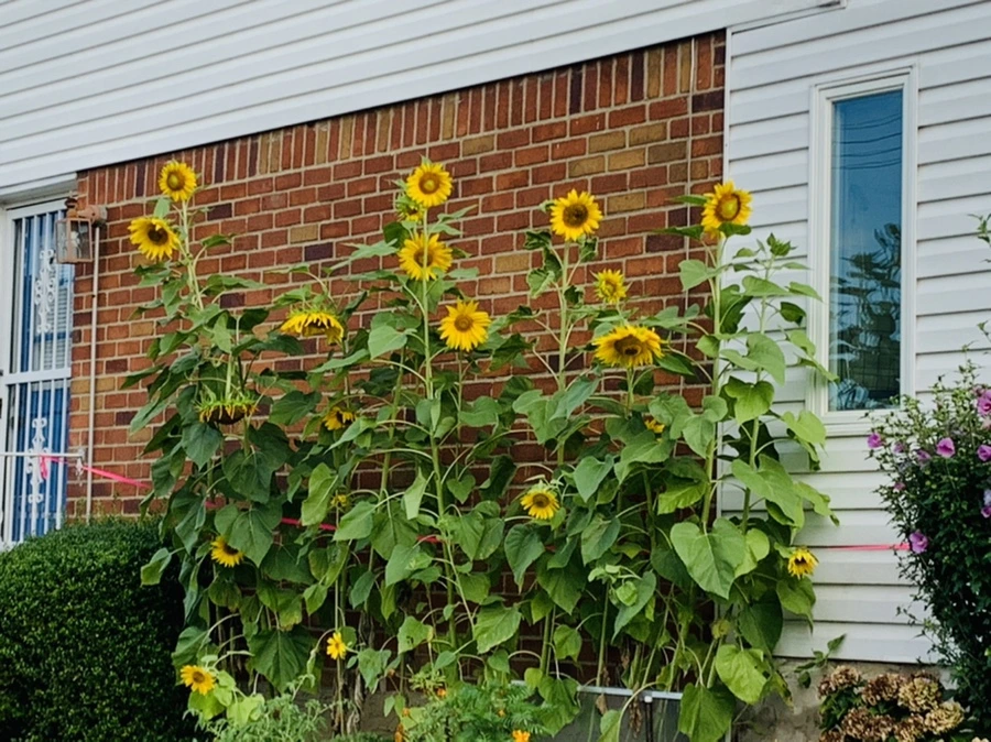 IMG_6988.jpg?type=w966