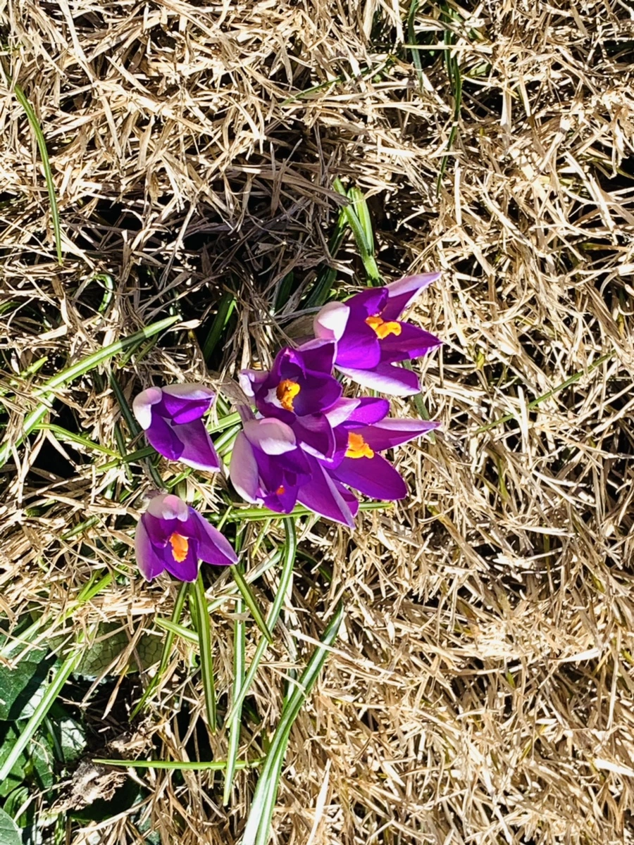 IMG_8227.jpg?type=w966