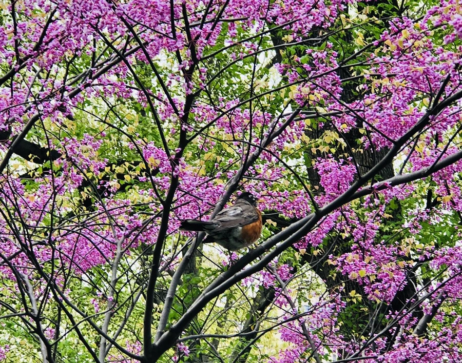 IMG_3816.jpg?type=w966