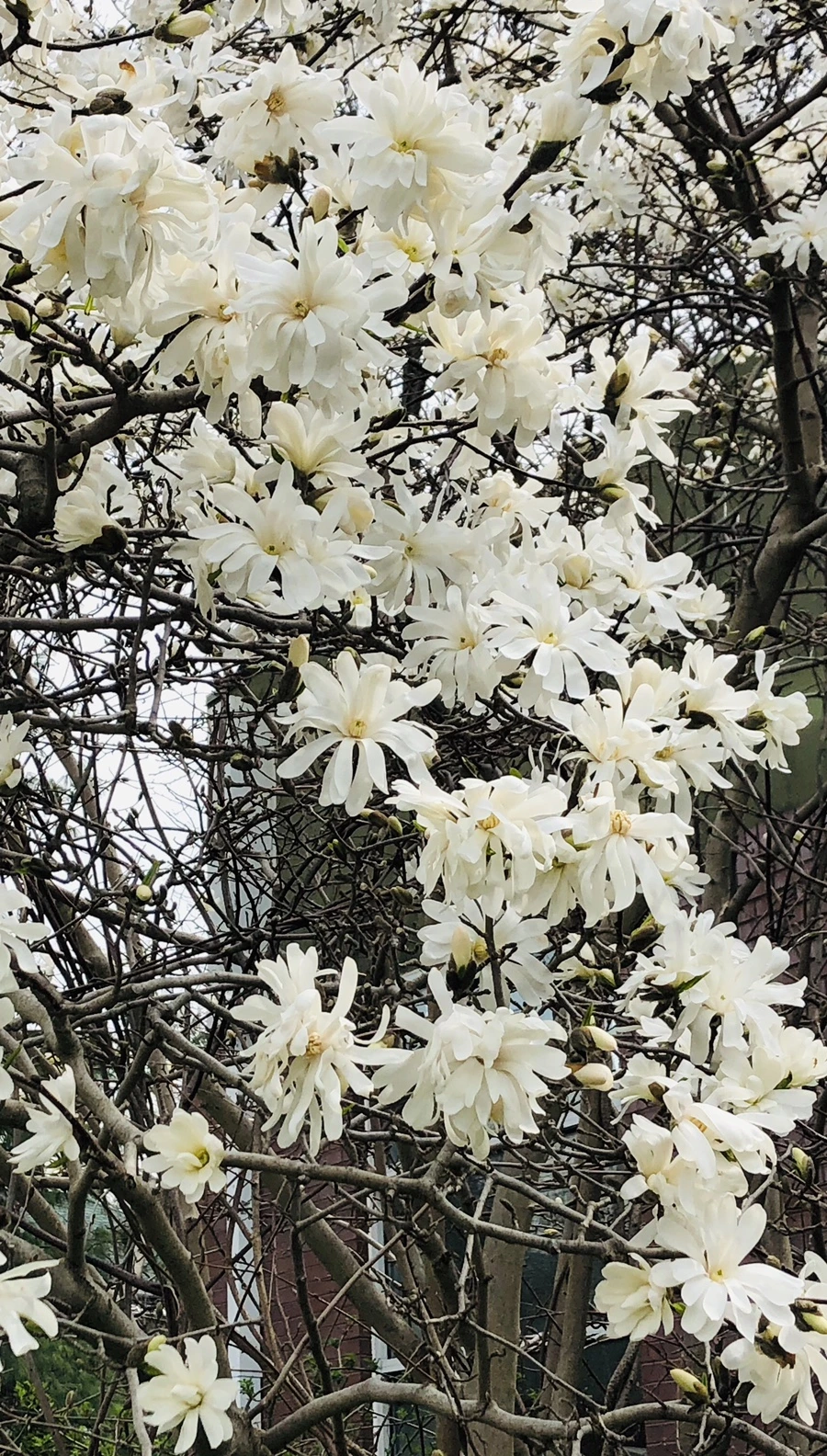 IMG_2576.jpg?type=w966