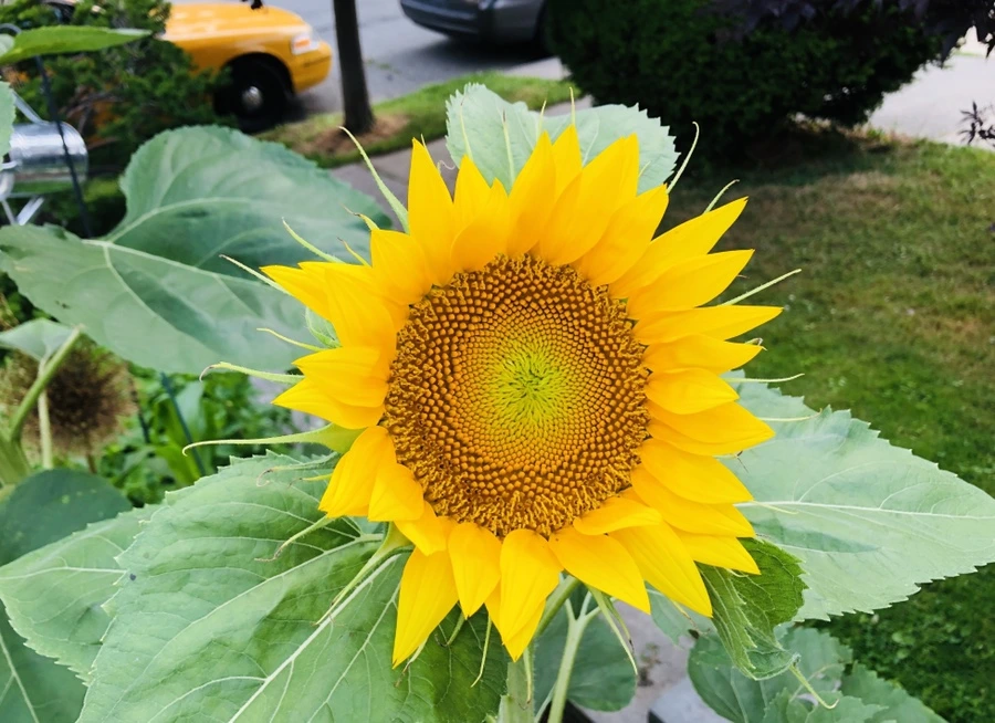 IMG_1336.jpg?type=w966