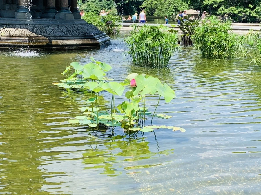 IMG_8546.jpg?type=w966