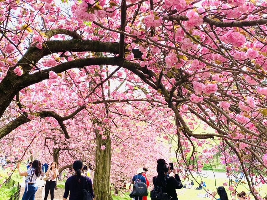 IMG_5188.jpg?type=w966