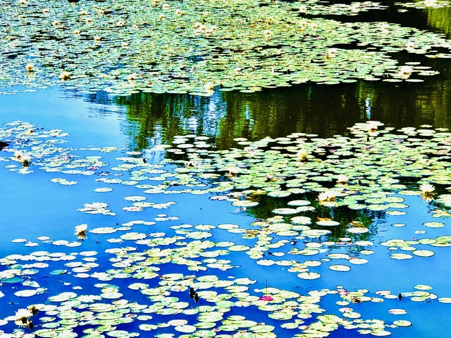 IMG_2340.jpg?type=w966