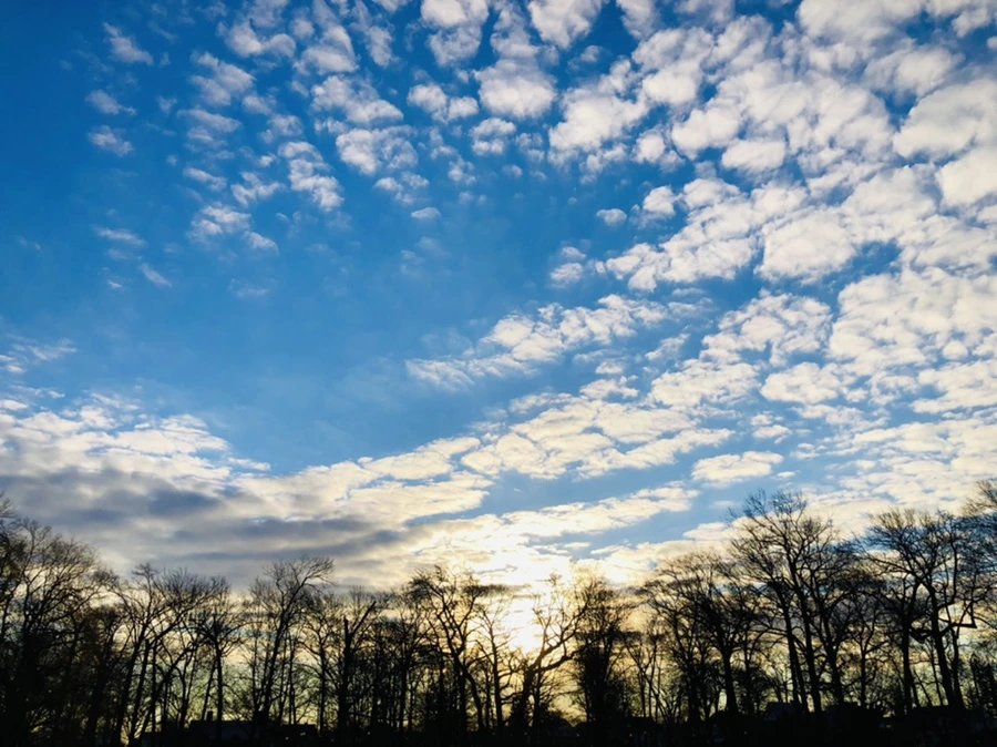 IMG_4895.jpg?type=w966