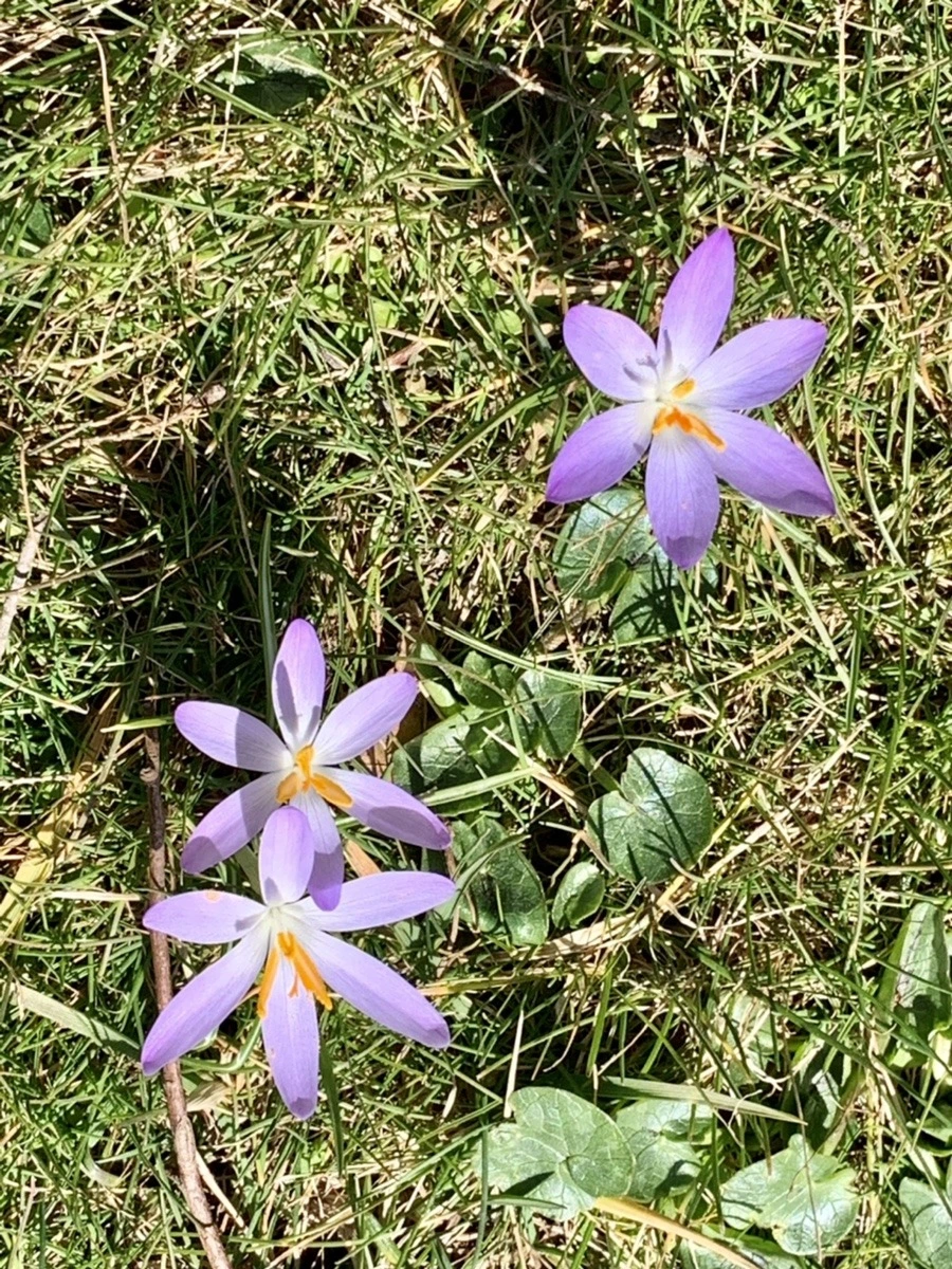 A7I8uikdmKx0S2Me3n66W89wxpU