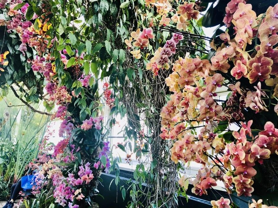 5wYejQS0upGMk7vjK8vqphitmys