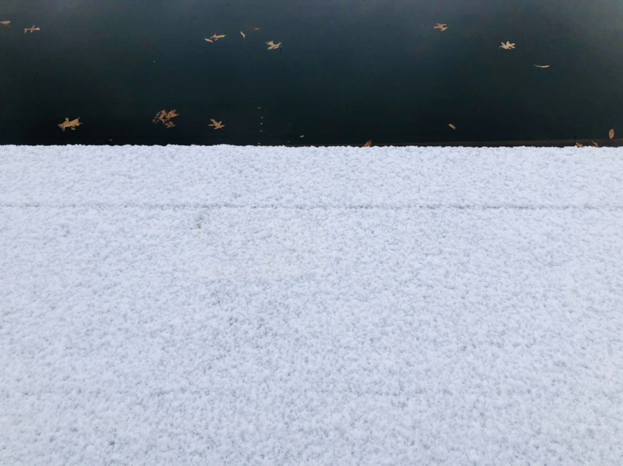 IMG_4506.jpg?type=w966