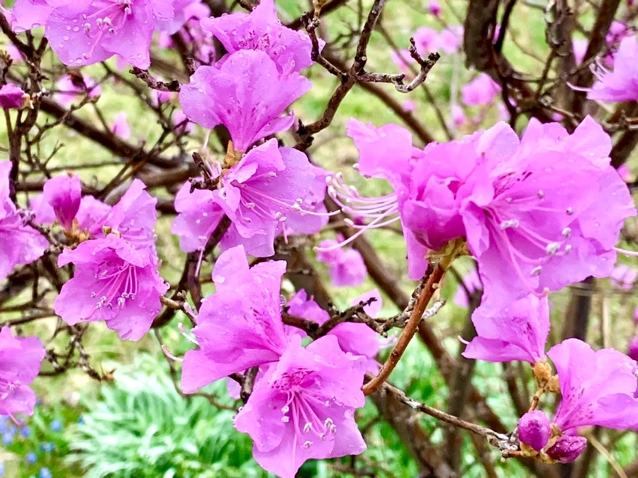 IMG_4903.jpg?type=w966